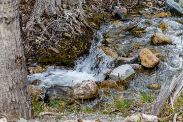 Views of Waterton from the roadisde. Waterton Lakes National Park, Alberta, Canada