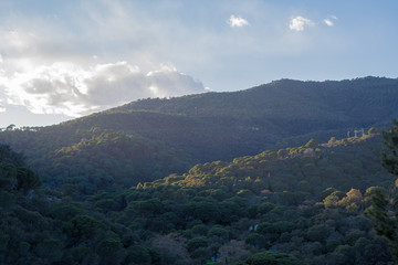 Sunny morning in mountain. Beautiful landscape composition.