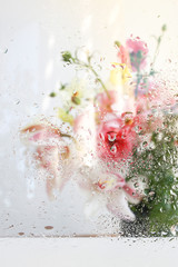 Beautiful wallpeper of a flower bouquet standing behind a window covered with fresh rain drops