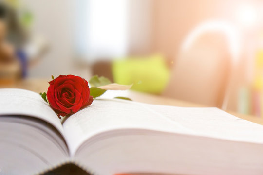 Red roses on books, love concepts and books