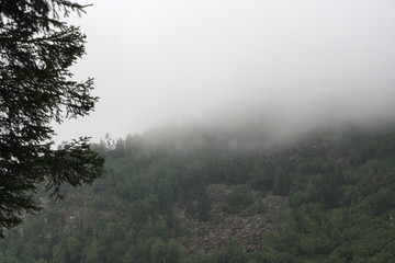 Fototapeta na wymiar Fog in the forest in mountains background