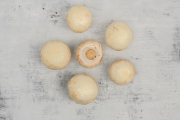 Champignons lie on a white-black background 