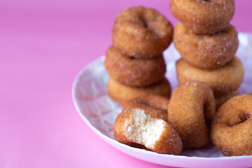 Cinnamon Sugar Mini Donuts on a white plate with bite eaten