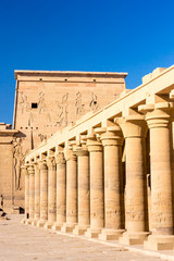 Fototapeta premium Philae temple in aswan on the Nile in Egypt