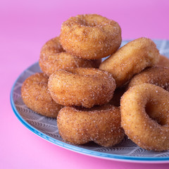 Cinnamon Sugar Mini Donuts on a plate