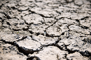 Drought land concept