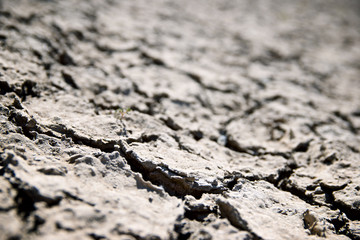 Drought land concept