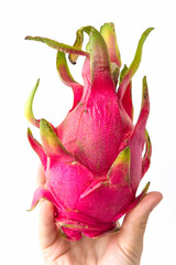 Dragon Fruit