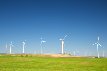 Fototapeta premium Renewable energy concept