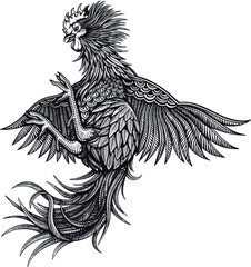 Vector Black and White Rooster Illustration © Julia