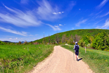 Obraz premium Tourism and outdoor activities. A woman with a backpack on her back is walking along a dusty country road, a blue sky in the background.