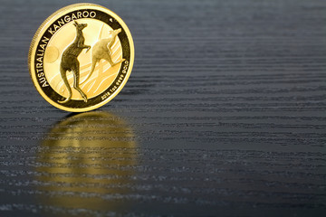 The Golden Age - Australian Kangaroo - A gold investment coin for bad times.