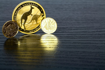Gold Coins - 1 ounce Australian Kangaroo and 1-10 ounce Wiener Philharmoniker.
