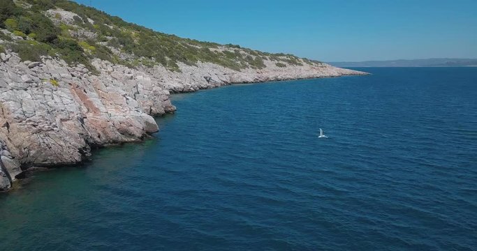Forward drone shot next to a rocky shore in the aegean sea crossing paths with a seagull. Shot in 4K