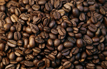 Roasted coffee beans