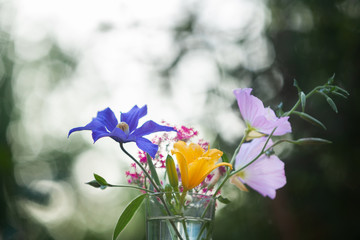 A bouquet of garden flowers