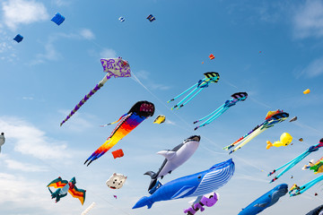 Kites with blue sky and white clouds