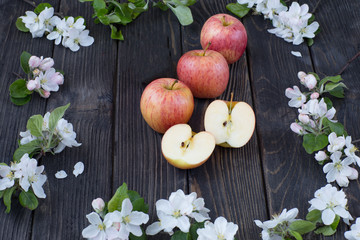 on a wooden table apples and branches of a blossoming apple tree 