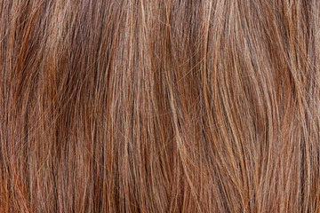 Beautiful wavy hair texture, brown hair