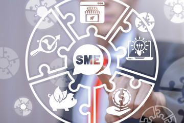 SME Small and Medium-sized Enterprises Concept. Business Entrepreneur Investment Financial Support Governance. Small and Medium Enterprise.