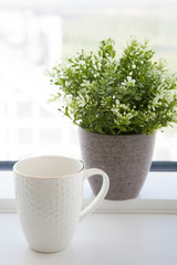 Fototapeta na wymiar white cup near with a green plant on a light background in the morning light