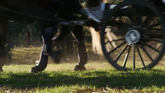 horses legs pulling carriage slow motion