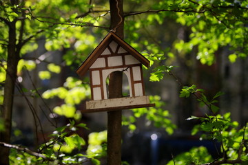 bird house on tree