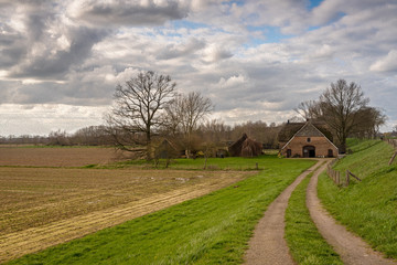 Fototapeta premium farmhouse in the netherlands according to the old masters