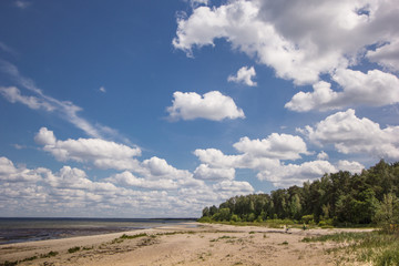 Cloudy and dramatic sky with green field and trees