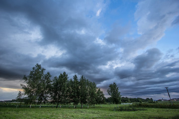 Fototapeta na wymiar Green summer meadow field with blue cloudy sky