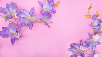 Flowers composition. Purple orchid on pastel pink background. Flat lay, top view, copy space