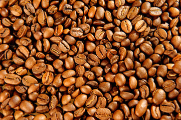 coffee beans background
