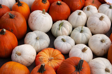 A bunch of orange and white pumpkins ready for sale