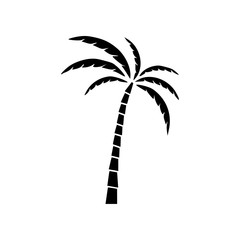 Black Palm tree icon isolated on white background