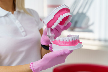 Fototapeta na wymiar Doctor shows on a plastic jaw sample or model different methods of teeth treatment. Modern dental clinic background. Pink medical gloves on doctor's hands. Dental hygiene and health concept. 