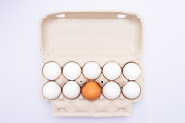 Tray with eggs, one brown egg, white background, copy space, top view
