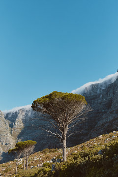 Beautiful landscape photos of Table Mountain and Lions Head in Cape Town South Africa