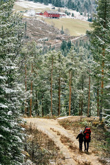 Fototapeta premium Snow in Spring