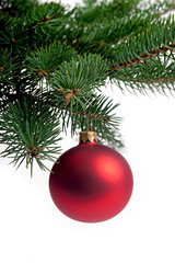 red christmas ball on a branch