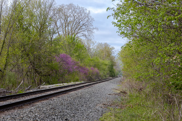 Obraz premium Spring Railroad
