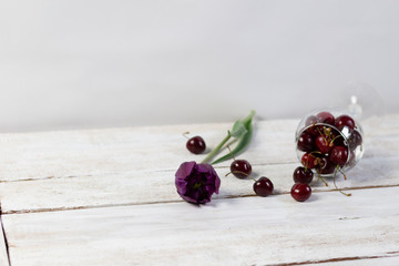Laying wineglass with ripe cherries and purple tulip on white wooden background