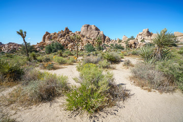 hiking the hidden valley trail in joshua tree national park, california, usa
