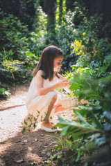 Niña recogiendo flores