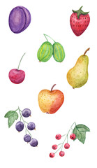 Set of watercolor hand painted fruit and berries. For books, recipes, textile, napkins and etc
