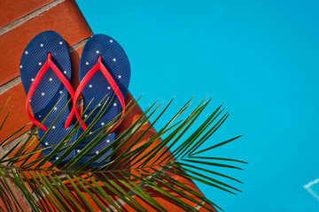 Flip flops and palm branch near swimming pool