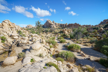 Obraz premium hiking the hidden valley trail in joshua tree national park, california, usa