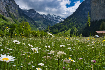 majestic landscape at Lauterbrunnen valley, Switzerland
