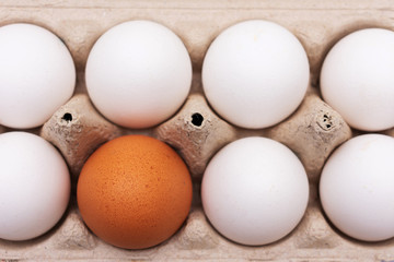 Tray with eggs, one brown egg, close up