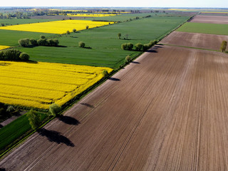 Zulawy Wislane seen from above in spring, Poland