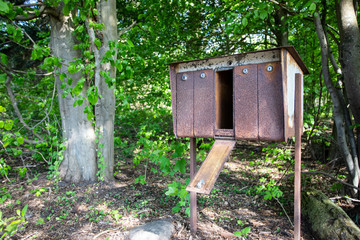 rusty old postbox in forrest